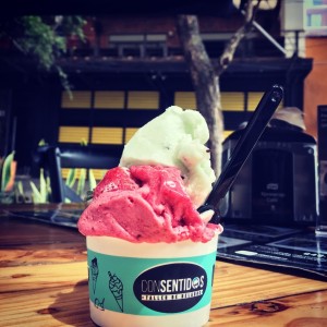 Helado de Kiwi y frutos rojos