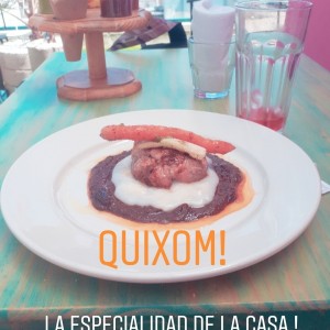 Platos Fuertes - Quixom de Dolomillo