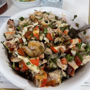 Mixto o super mixto