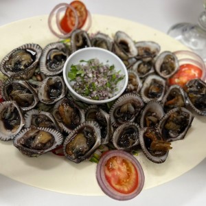 Docenas de conchas en su tinta