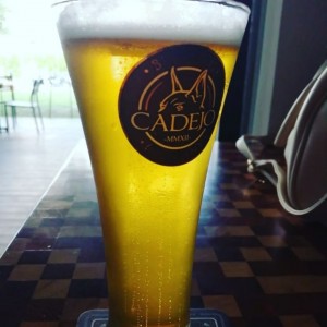 Cerveza artesanal