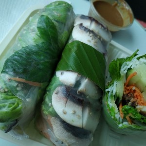 SPRING ROLLS MIXTOS