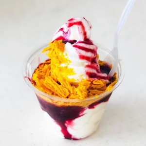 Frozen Yogurt