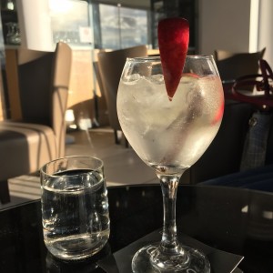 gin de manzana y canela