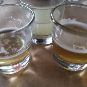 Cata de cervezas ! 
