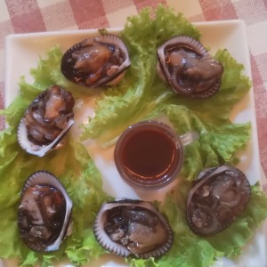 Conchas preparadas