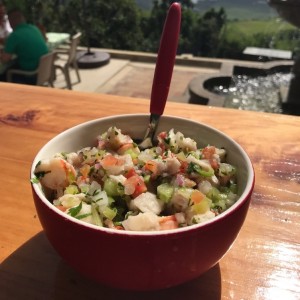 Ceviche Mixto (10 onzas)