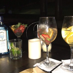 GIN & TONICS