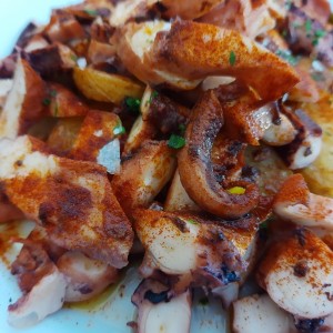 pulpo