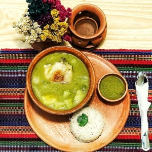 Jocón de pollo