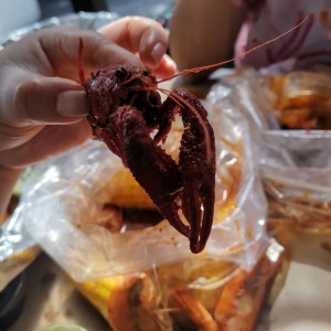 En Bolsa - Crawfish