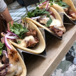 Pedidos de - Tacos