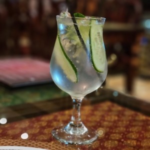 gin and tonic