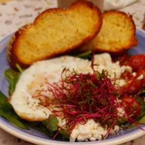 Desayunos - Huevos Silvestres