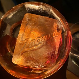 Negrito de Zacapa