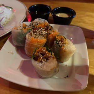 Entradas - Springrolls