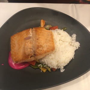 salmon