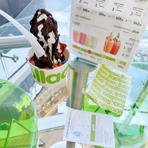 Yogurt helado + 2 toppings