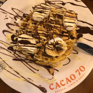 Smores Waffle