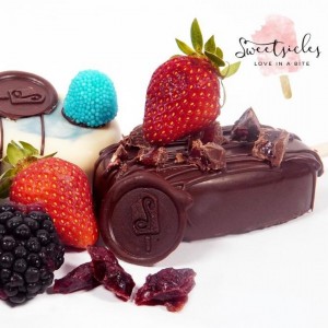 Pasteles de frutos rojos con cubierta de chocolate.. 