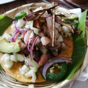 Tostada de Agua Chile 