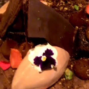 brownies con fresas