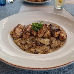 pollo creta