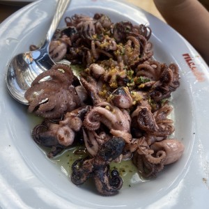 Pulpo