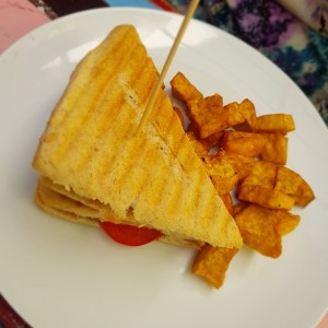 Panini