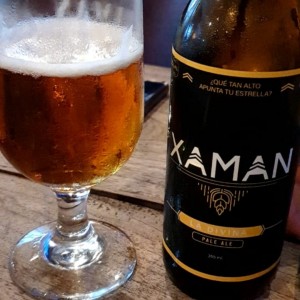 Cerveza artesanal