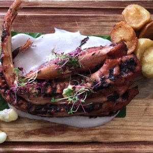 pulpo ??