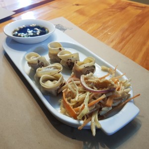 Dumplings de Lomo de Res