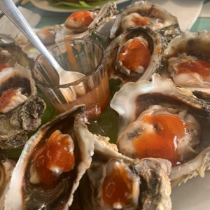1/2 Docena de Ostras Frescas