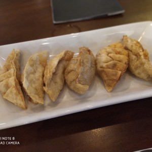 Entrada - Dumplings