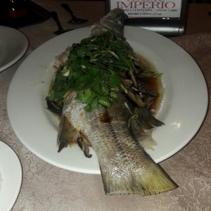 pezcado al vapor con cebollin, gengibre y cilantro