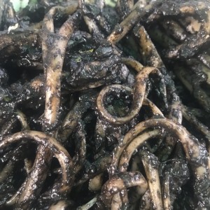 Pasta de calamares 