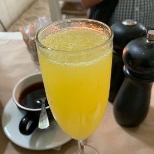 mimosa