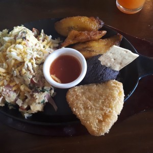 Suizo Americano