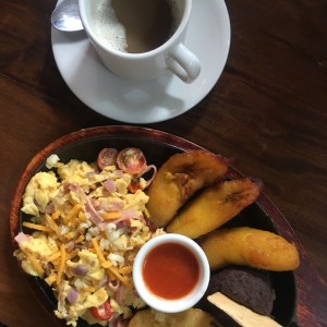 Suizo Americano