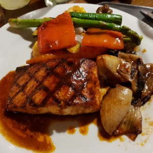 salmon
