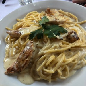 Pollo con salsa blanca 
