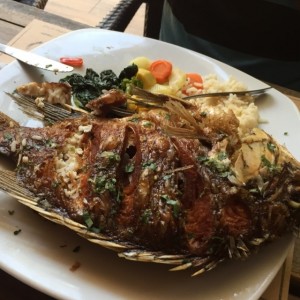Del Mar - Mojarra