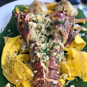 Otras Delicias - Langosta