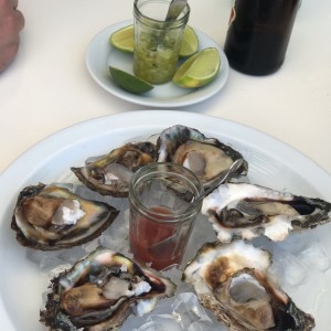Docena de Ostras Frescas