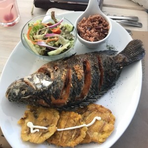 mojarra rio dulce