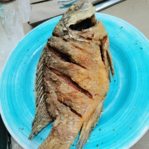 mojarra (tapado)