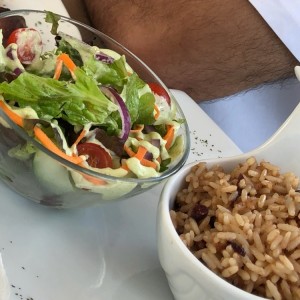 rice 