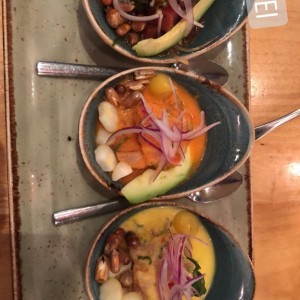 degustacion de ceviche