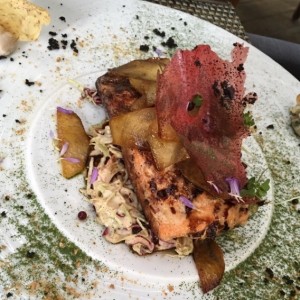 Salmon