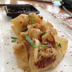 dumplings de vegetales o cerdo